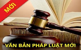 Chính sách mới năm 2019