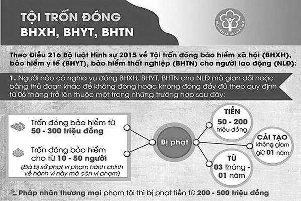 Cá nhân gian lận bảo hiểm xã hội sẽ bị xử lý hình sự